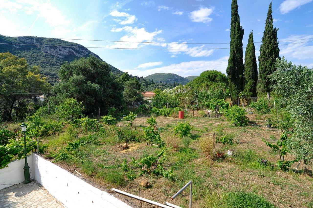 Anastasios Paleokastritsa